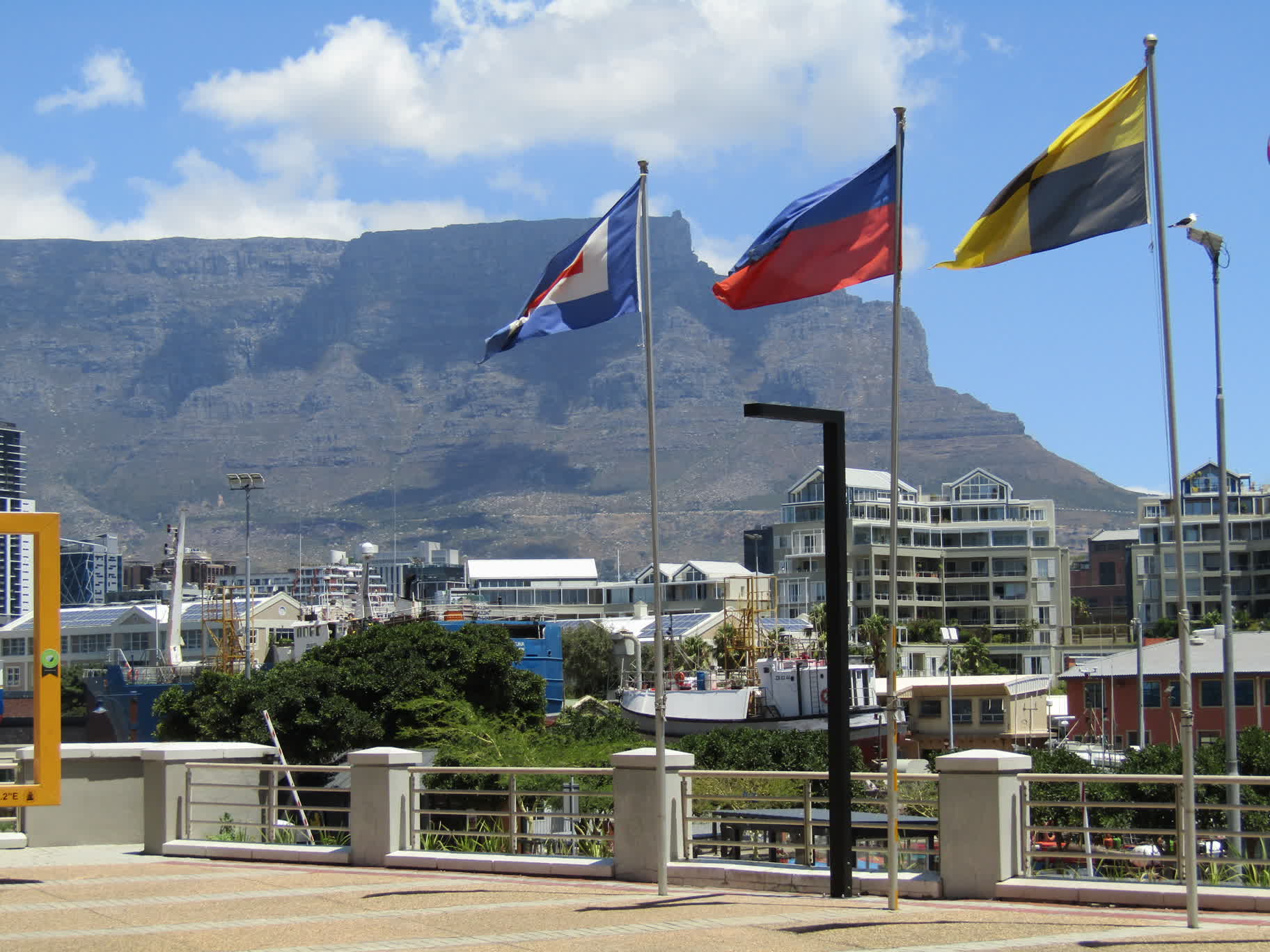 Table Mountain and "WEL" flags