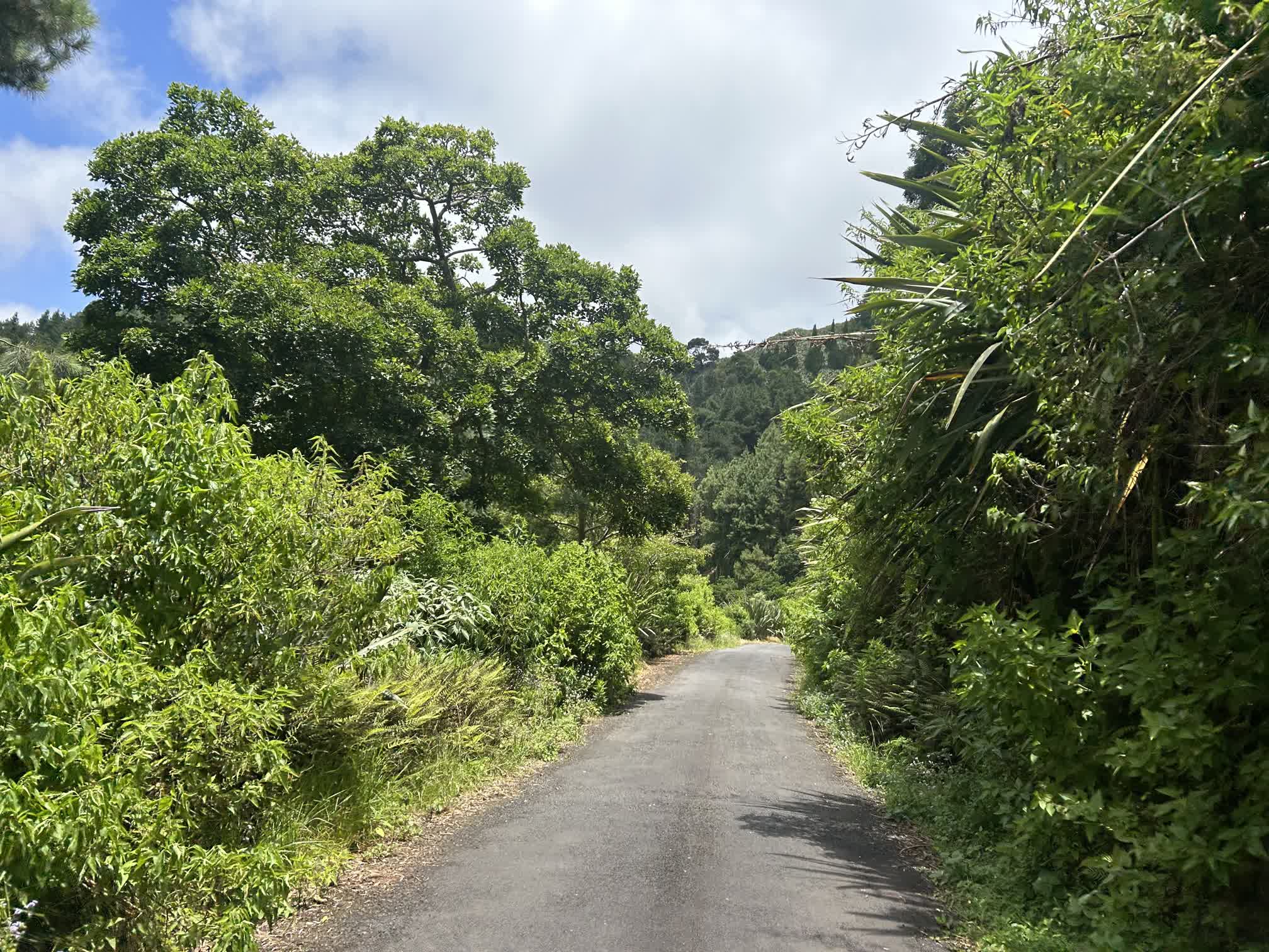 St. Helena isn't entirely the inhospitable rock that its shoreline seems to indicate