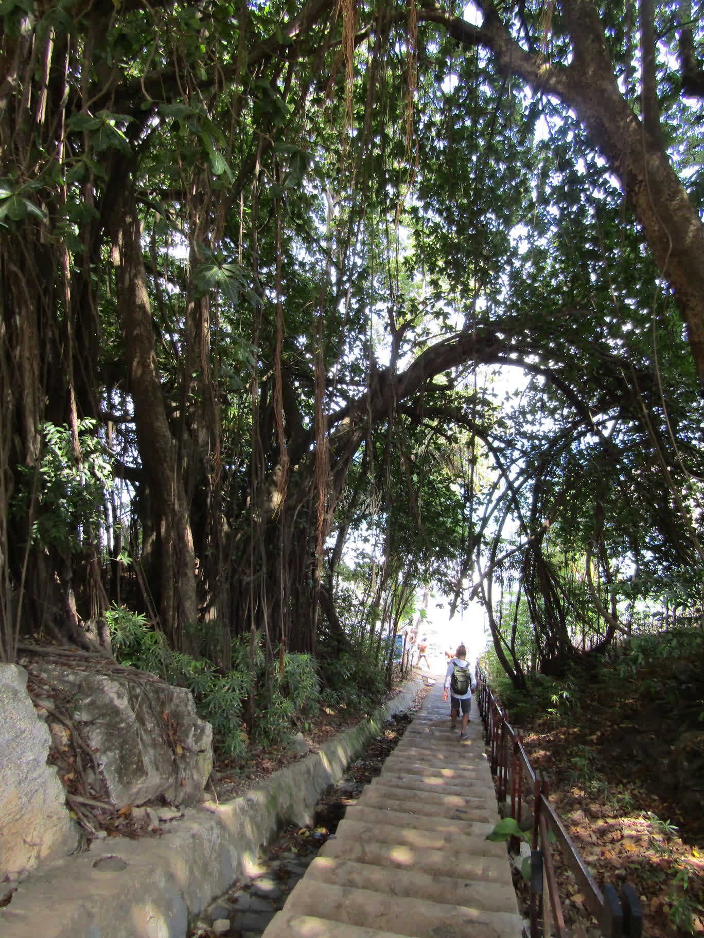 These stairs were near the "downtown" restaurants and dive shops. They lead down to a rocky beach with a large tide pool that people could jump into. It was very crowded when we visited, so we decided to return at another time, but never made it back