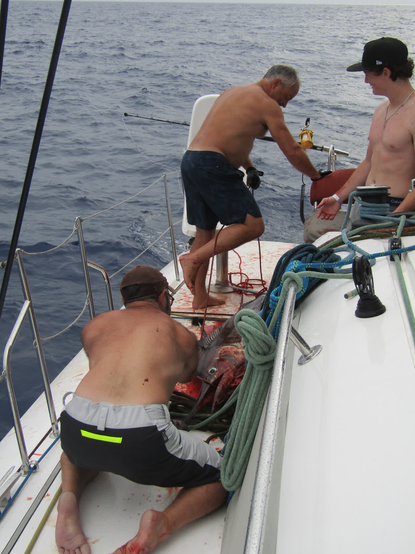 The narrow deck of a catamaran isn't such a great place for dealing a five foot-long thrashing apex predator